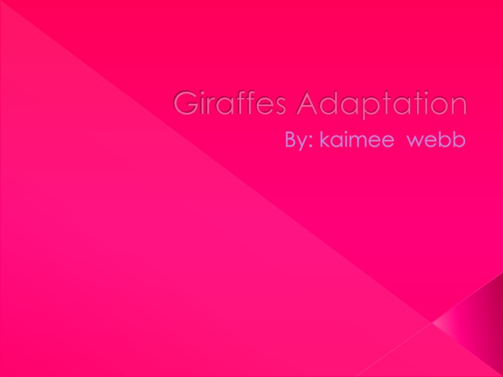 giraffes adaptation by kaimee webb