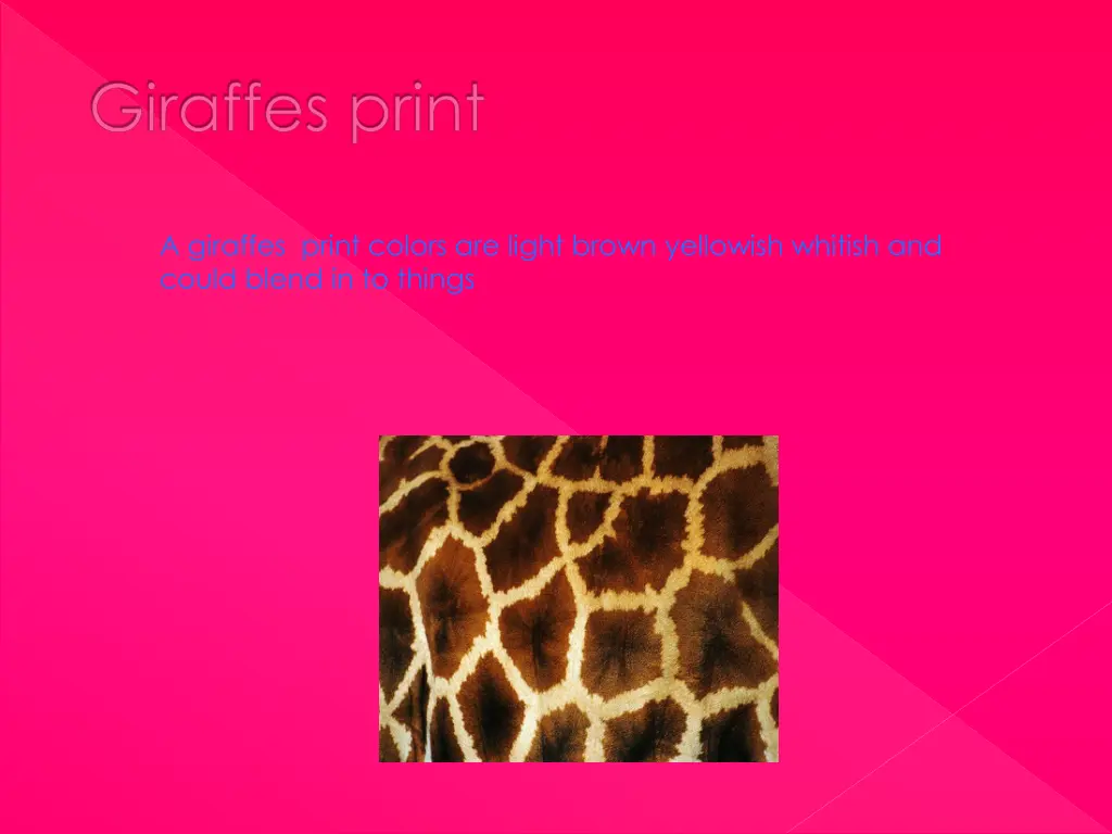 giraffes print