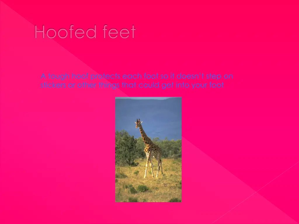 hoofed feet