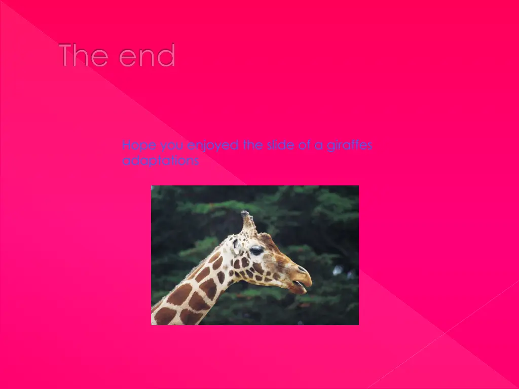 the end