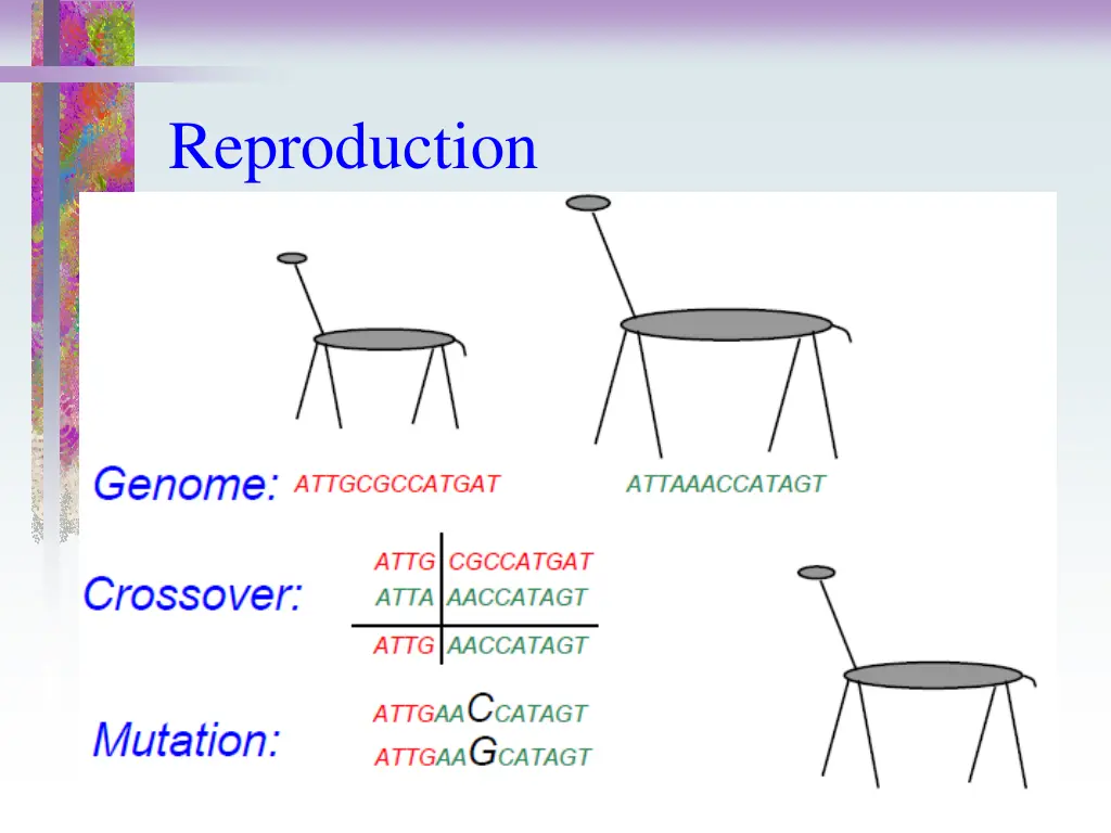 reproduction