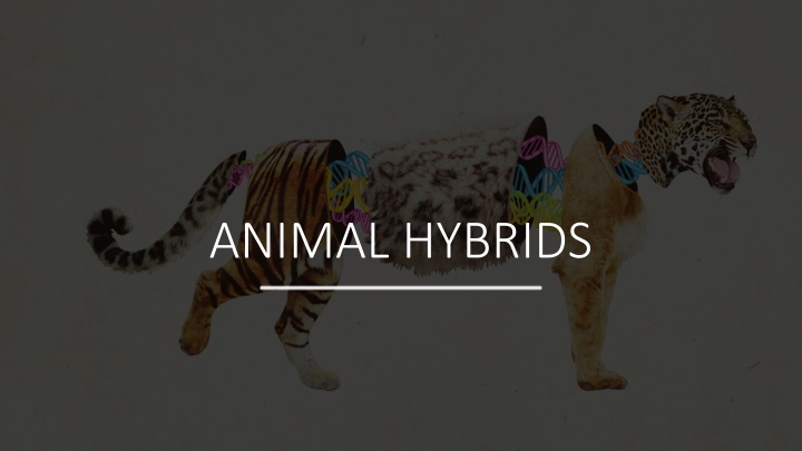 animal hybrids