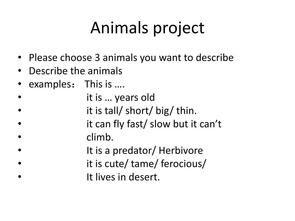 animals project