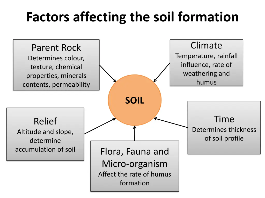 factors affecting the soil formation