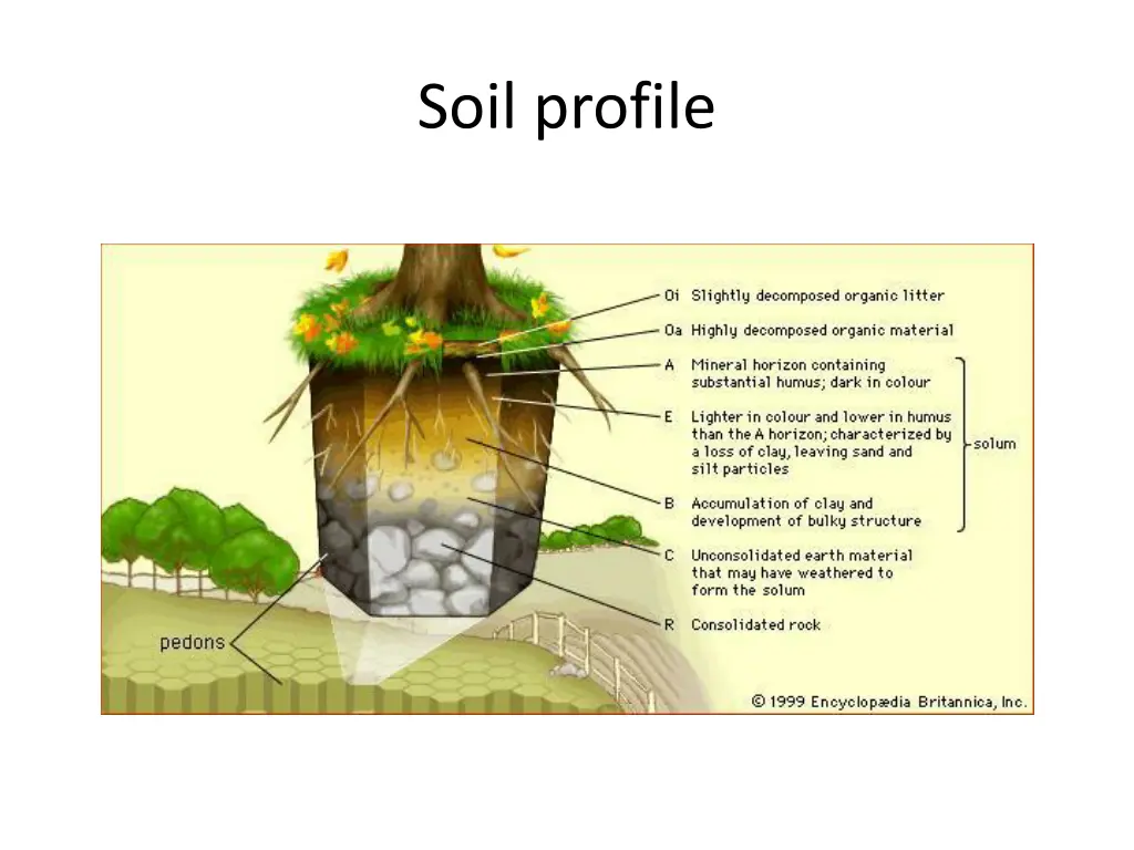 soil profile