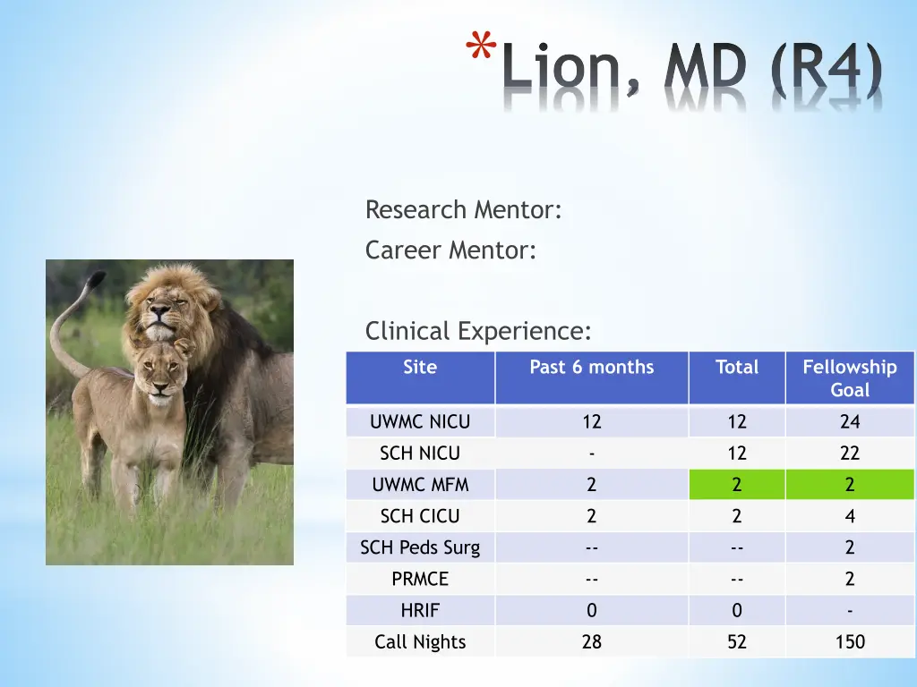 lion md r4