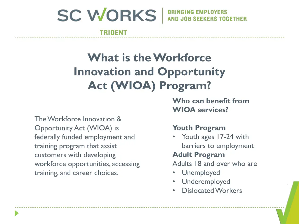 what is the workforce innovation and opportunity