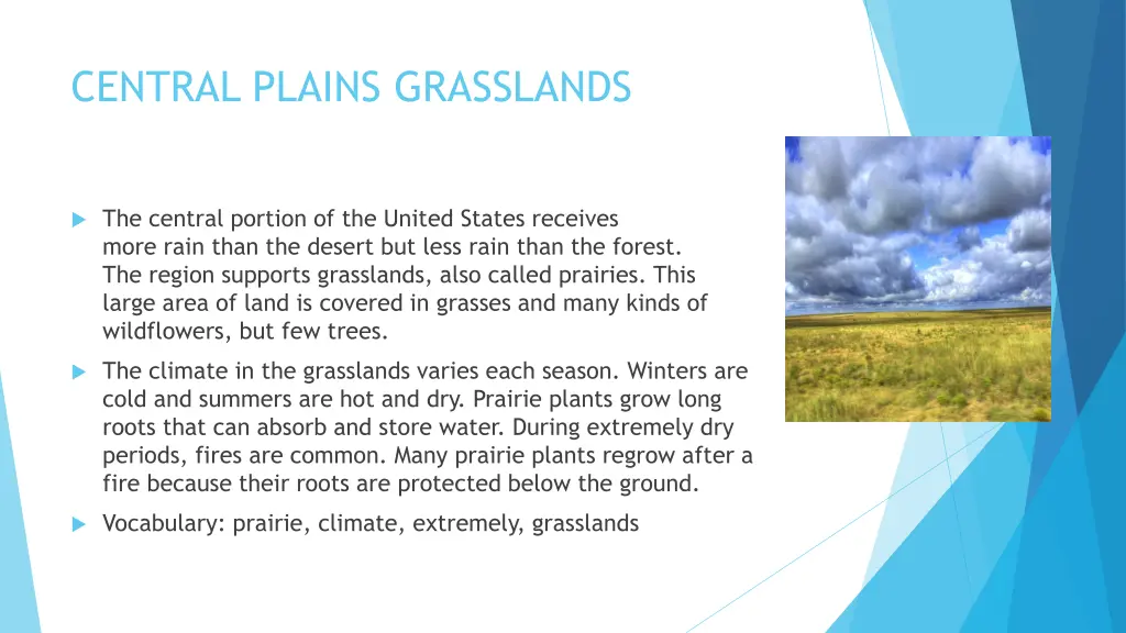 central plains grasslands