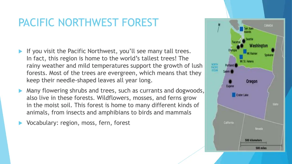 pacific northwest forest