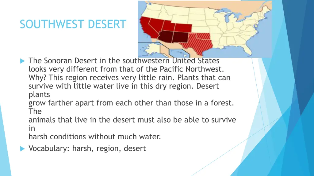 southwest desert