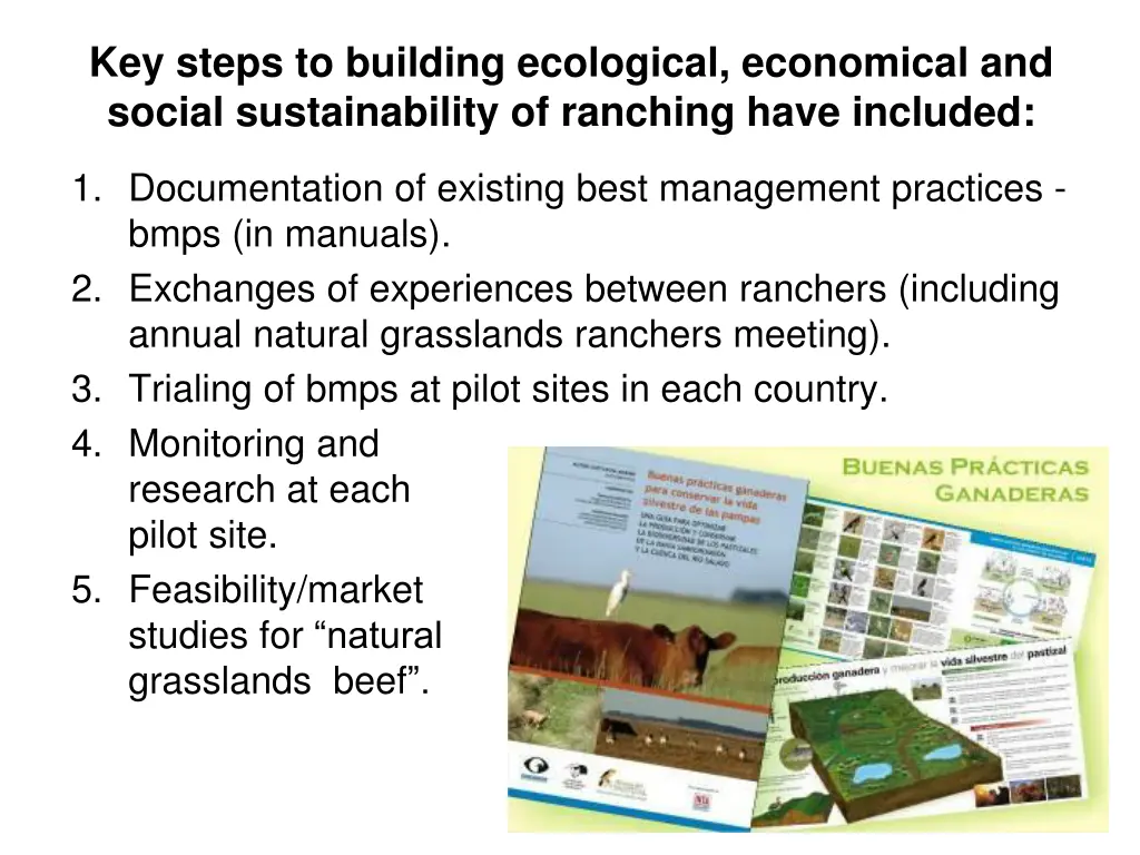 key steps to building ecological economical