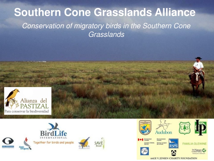 southern cone grasslands alliance conservation