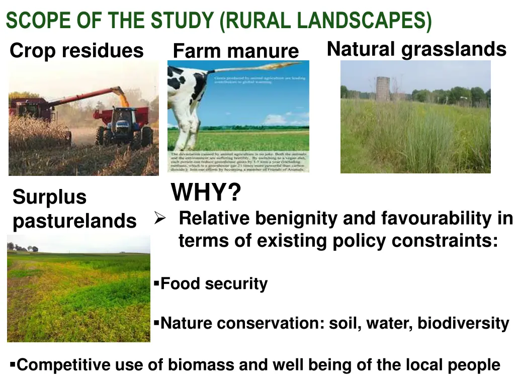 scope of the study rural landscapes crop residues