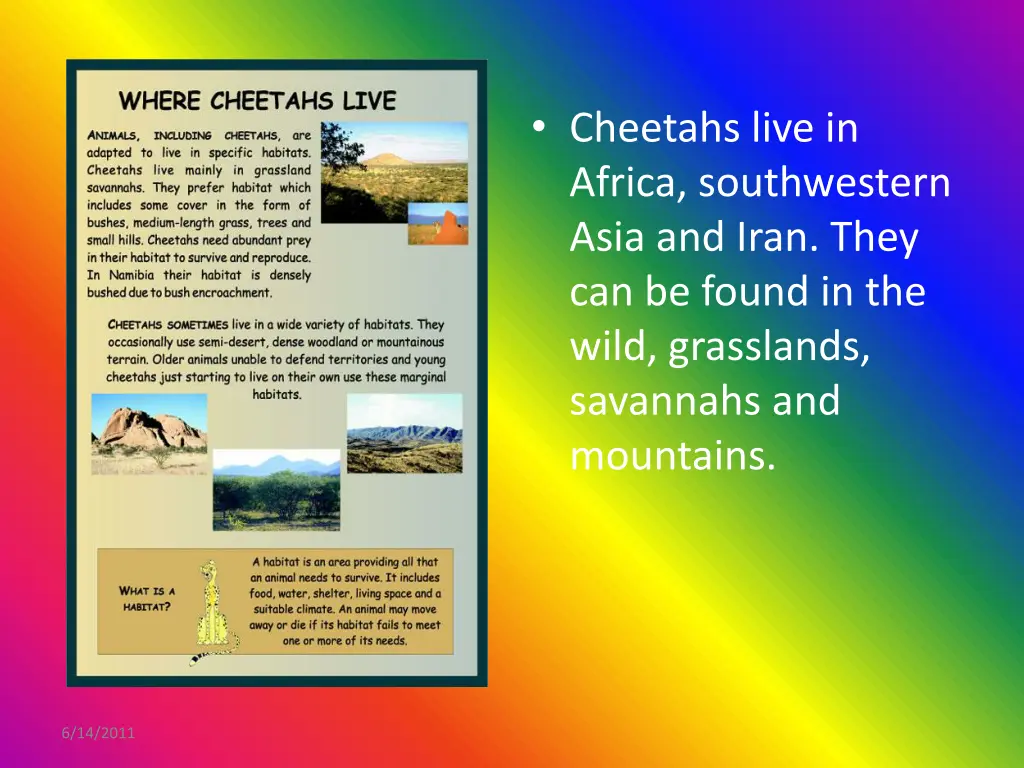 cheetahs live in africa southwestern asia