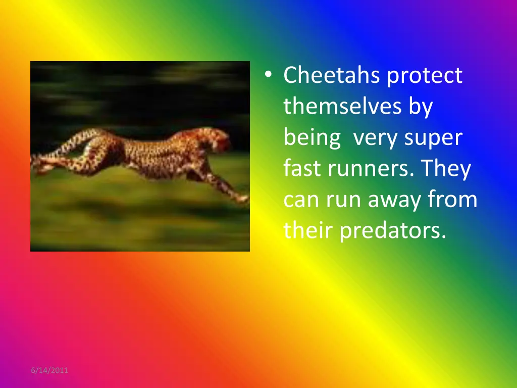 cheetahs protect themselves by being very super