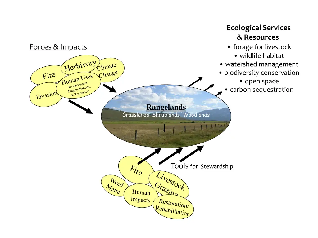 ecological services resources forage 1