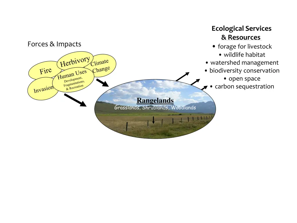 ecological services resources forage