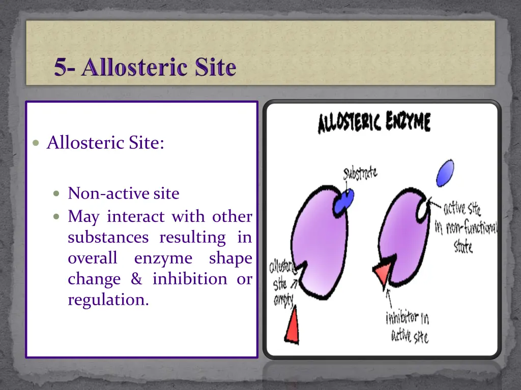 allosteric site