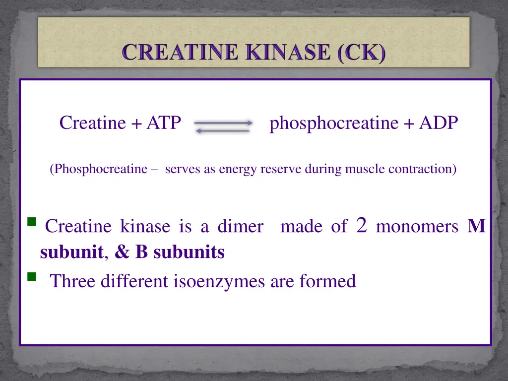 creatine atp phosphocreatine adp