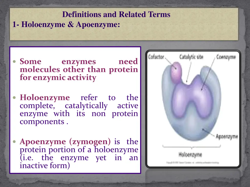 definitions and related terms 1 holoenzyme