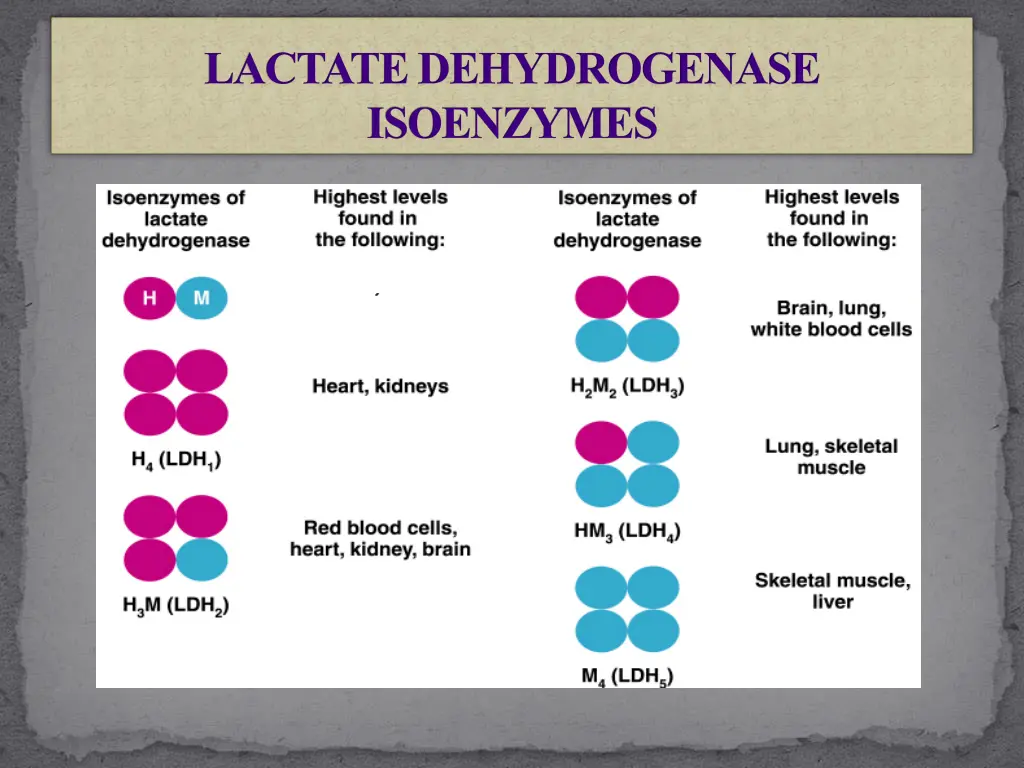 lactate dehydrogenase isoenzymes