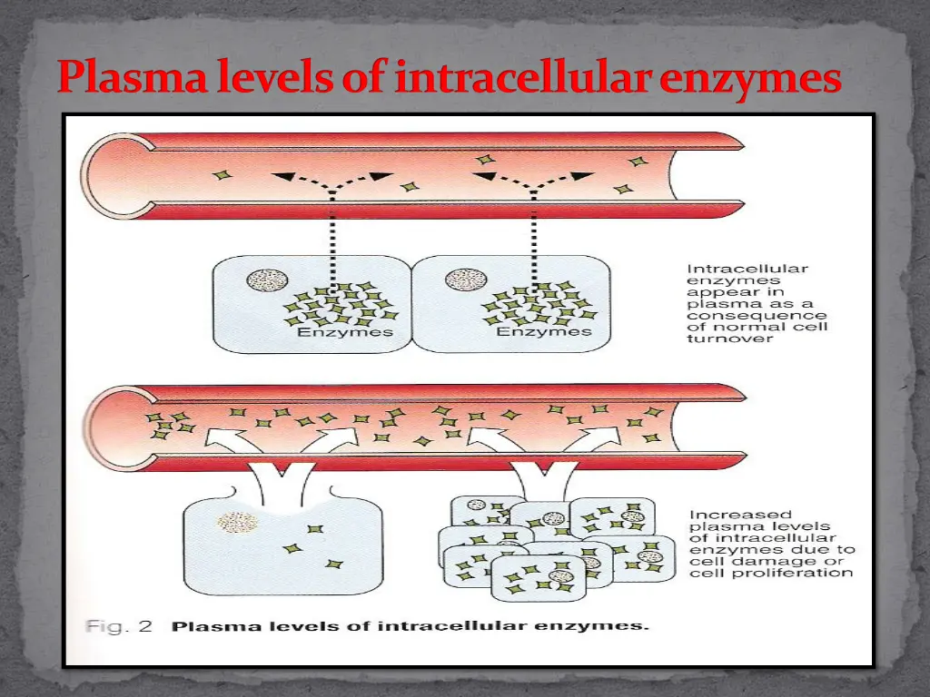 plasma levels of intracellular enzymes