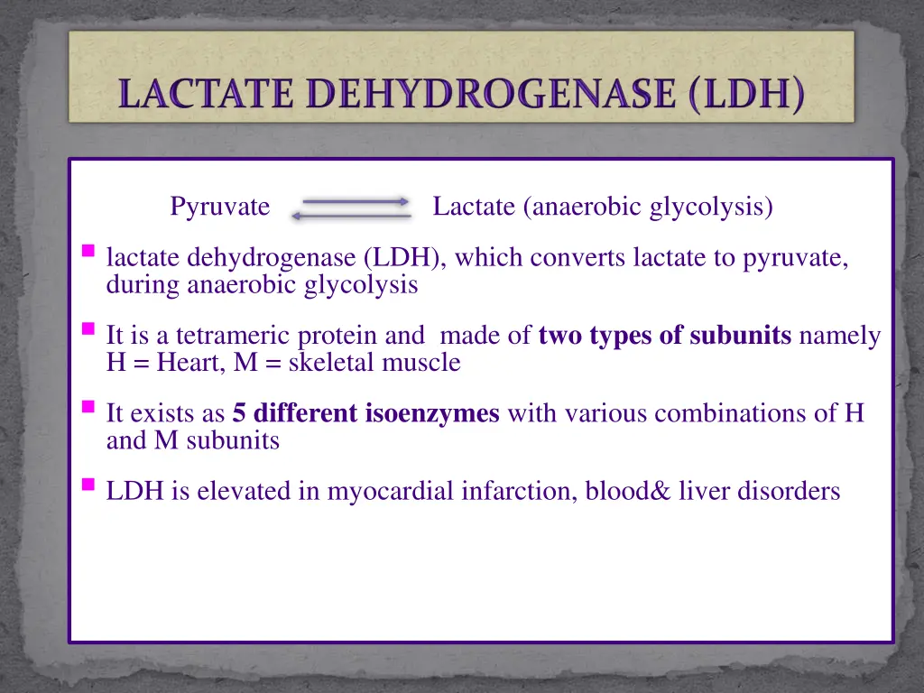 pyruvate lactate anaerobic glycolysis lactate