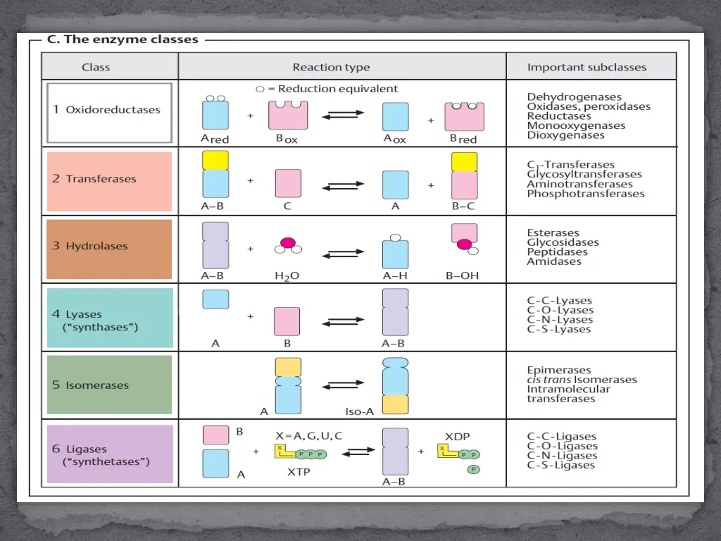 slide9