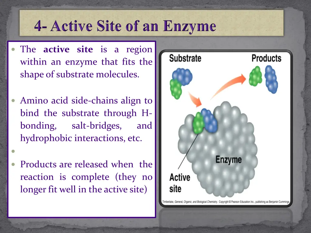 the active site is a region within an enzyme that