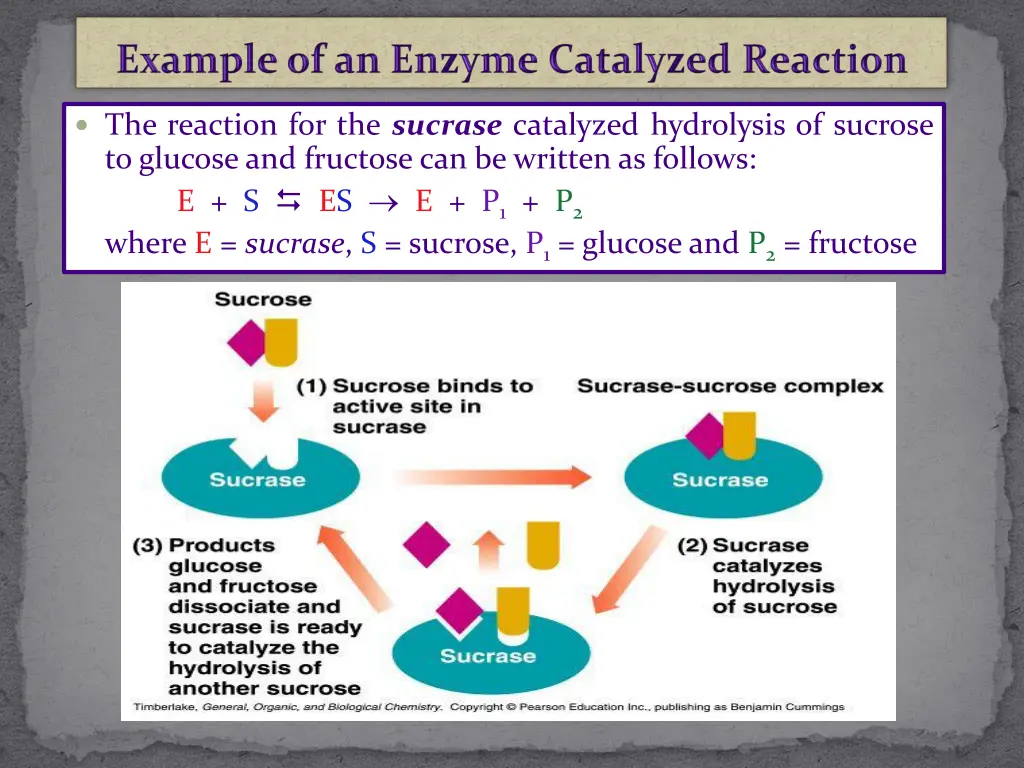 the reaction for the sucrase catalyzed hydrolysis