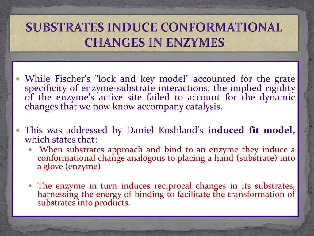 while fischer s lock and key model accounted