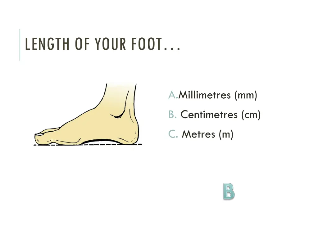 length of your foot