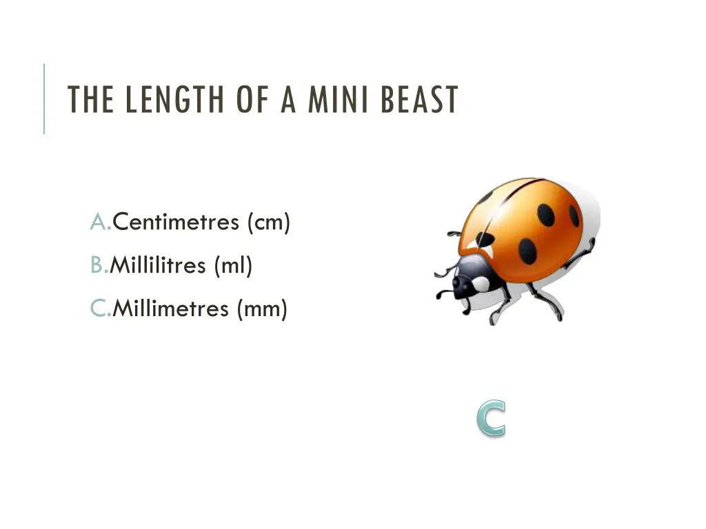 the length of a mini beast