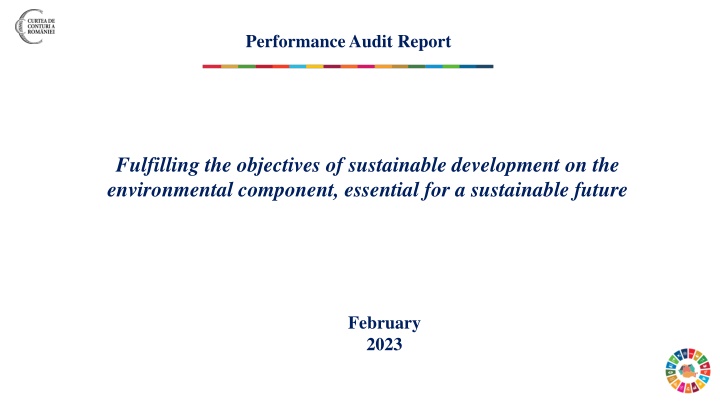 performance audit report