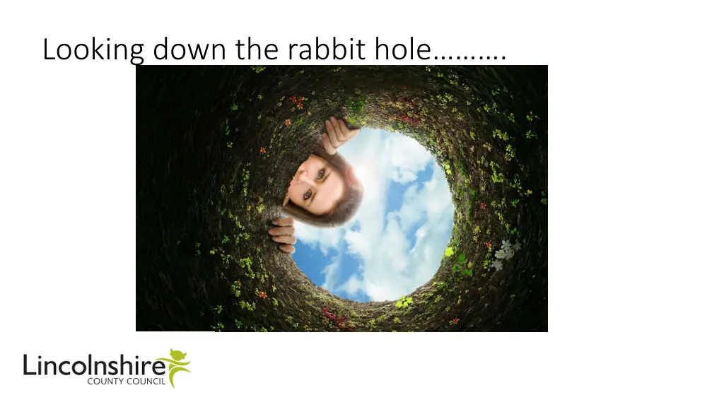 looking down the rabbit hole