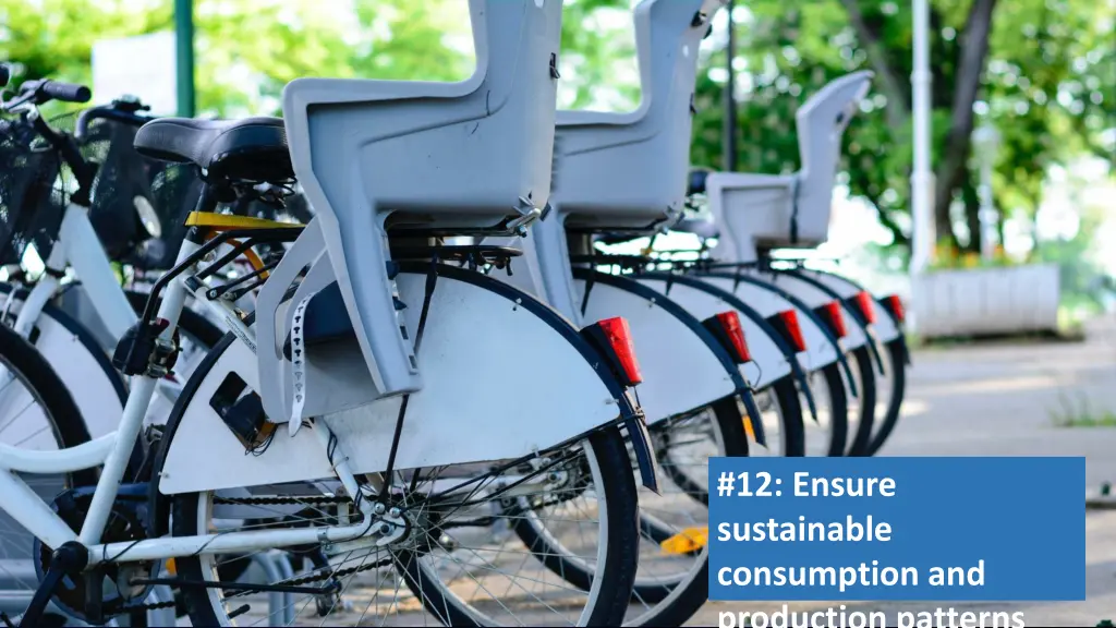 12 ensure sustainable consumption and production