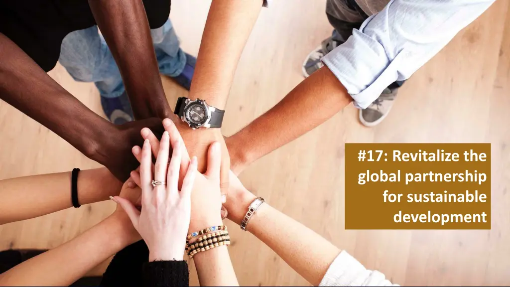 17 revitalize the global partnership