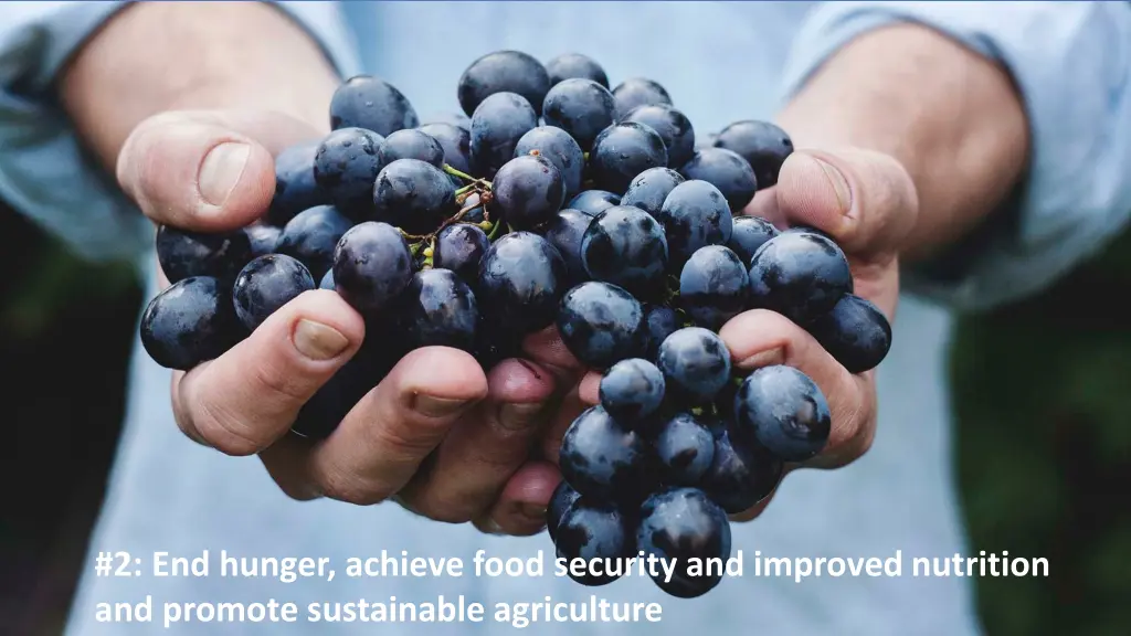 2 end hunger achieve food security and improved