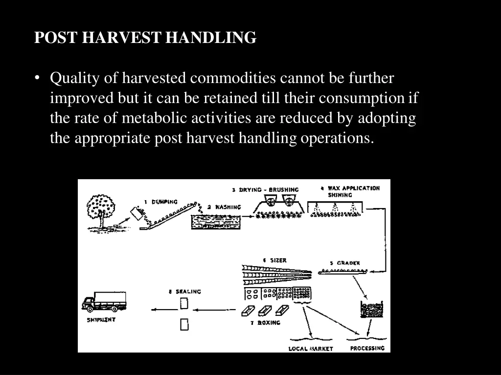 post harvesthandling