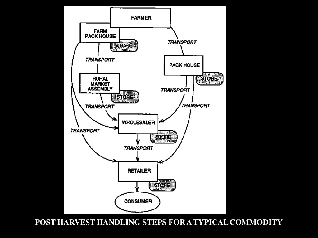 postharvest handling steps foratypicalcommodity