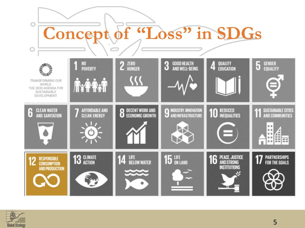 concept of loss in sdgs