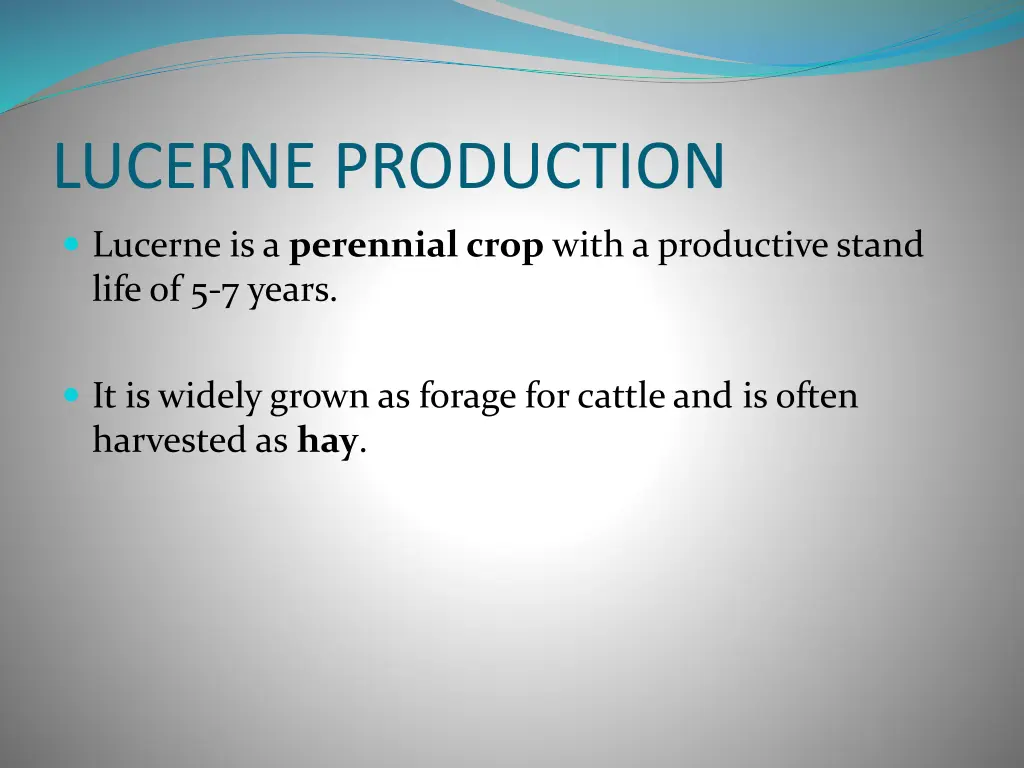 lucerne production