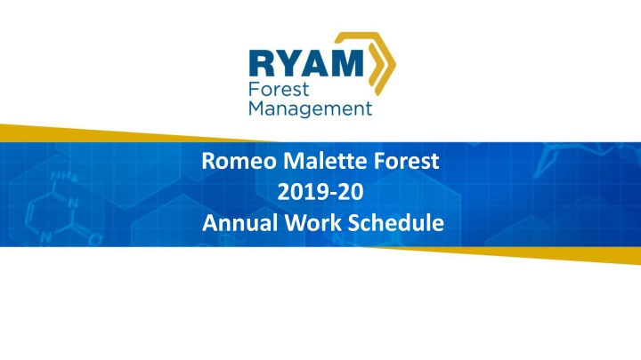 romeo malette forest 2019 20 annual work schedule