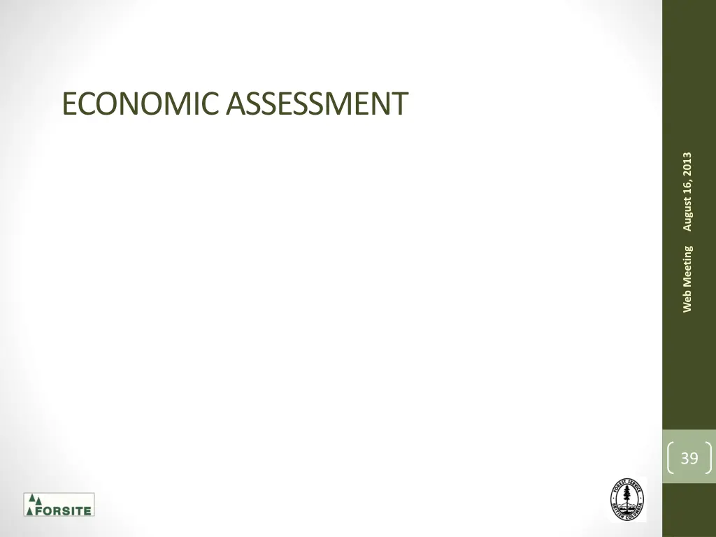 economic assessment