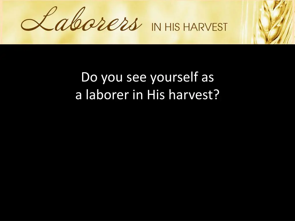 do you see yourself as a laborer in his harvest