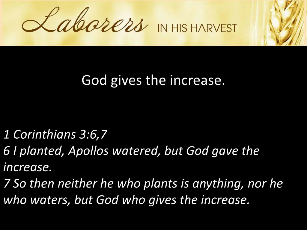 god gives the increase