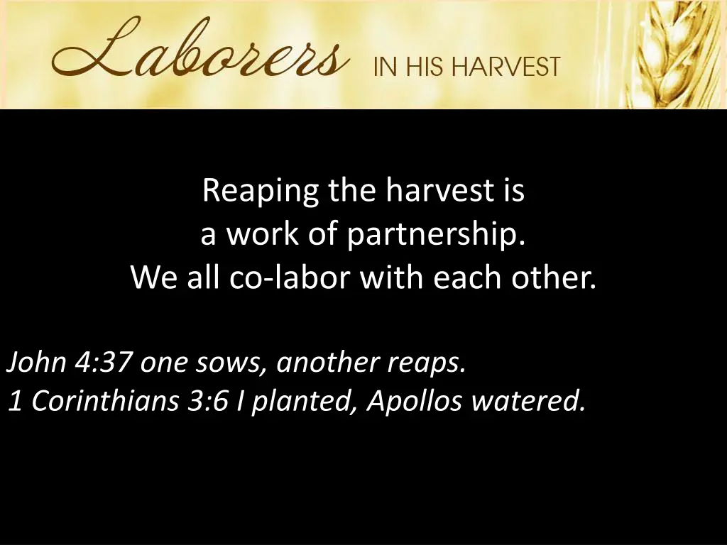 reaping the harvest is a work of partnership