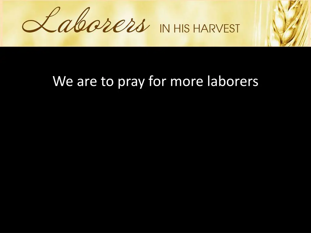 we are to pray for more laborers