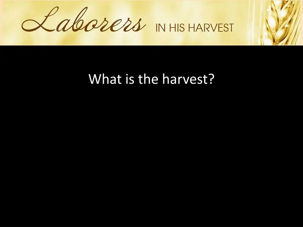 what is the harvest