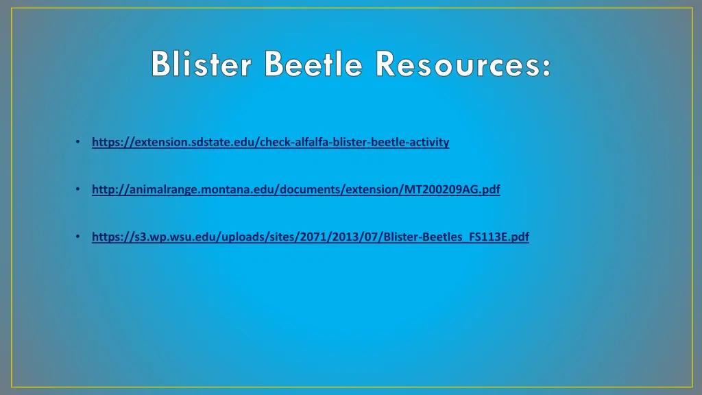 blister beetle resources